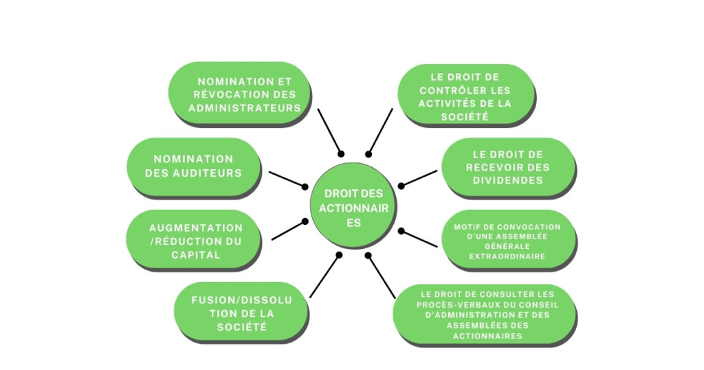 Quels sont les droits des actionnaires ?