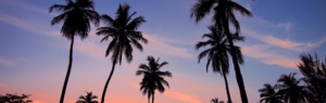 buy property in Pattaya