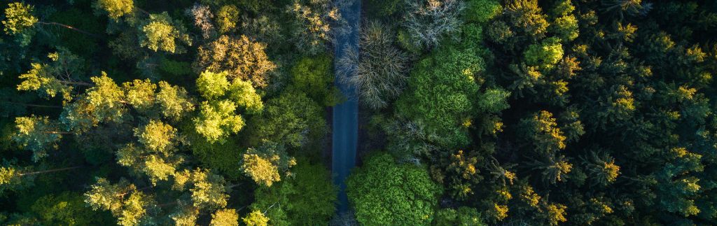 Vue aérienne d’une route entourée de forêt illustrant la qualité de l’air en Thaïlande