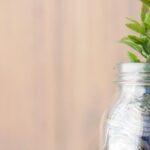Glass jar filled with coins and a growing plant symbolizing foreign direct investment in Thailand